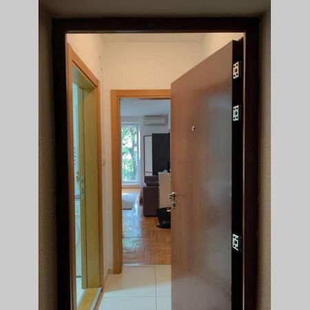 Renovated Cozy Studio 7 At Top Location - Available For Long Term Rentals Novi Sad Dış mekan fotoğraf
